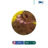 Absorbente granular fibra de coco Quickwik 20 LB – 7 Gal