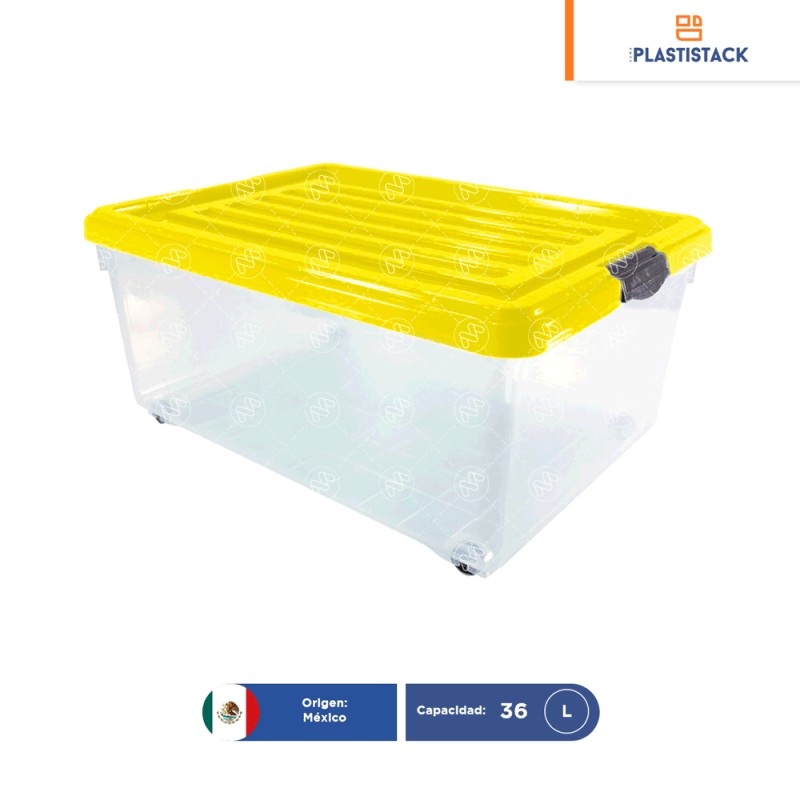 Caja Mónaco chica c/ruedas y tapa | 54 x 39 x 25 cm