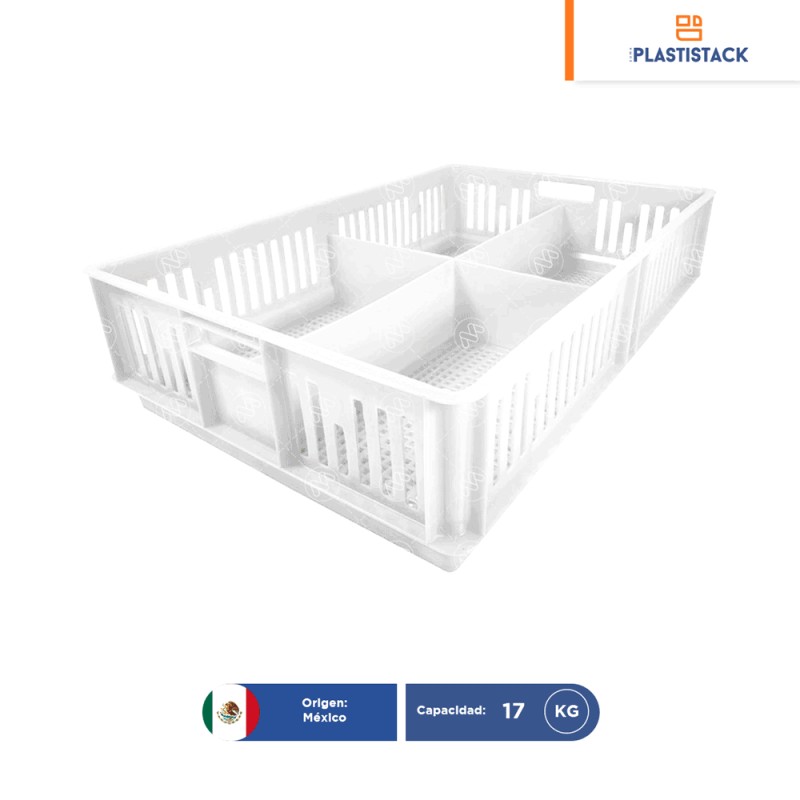 Caja para pollitos con división calada | 63 x 42 x 15 cm