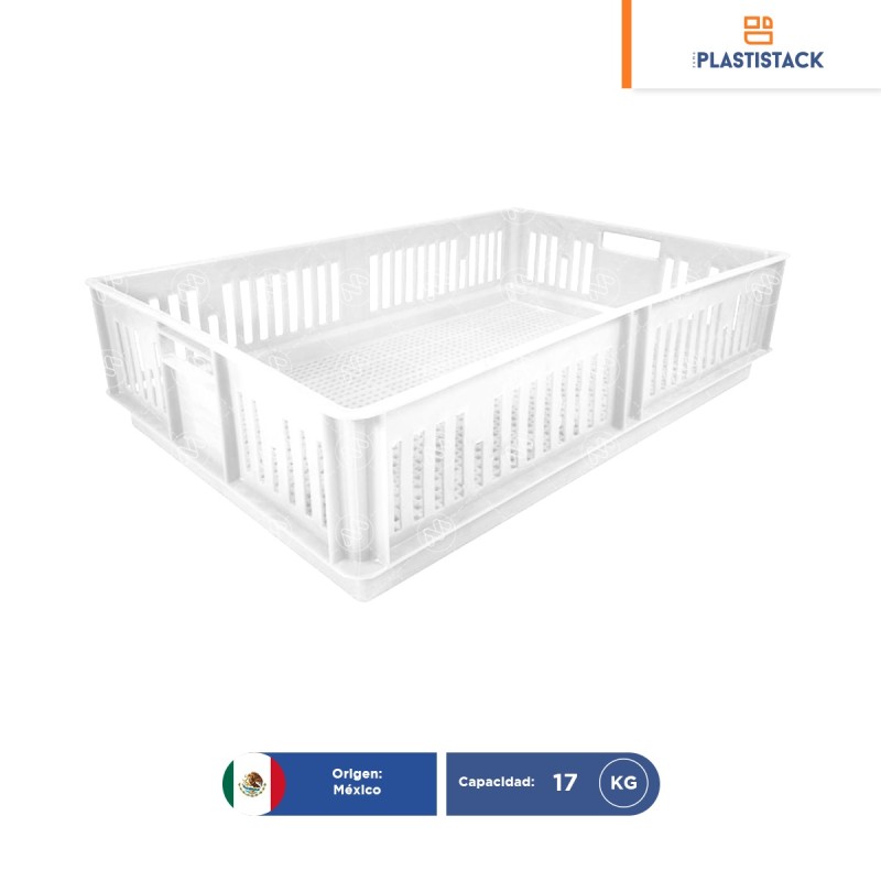 Caja para pollitos sin división calada | 63 x 42 x 15 cm